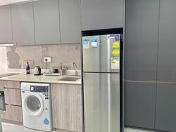 Riverfront Residences (D19), Apartment #466690111